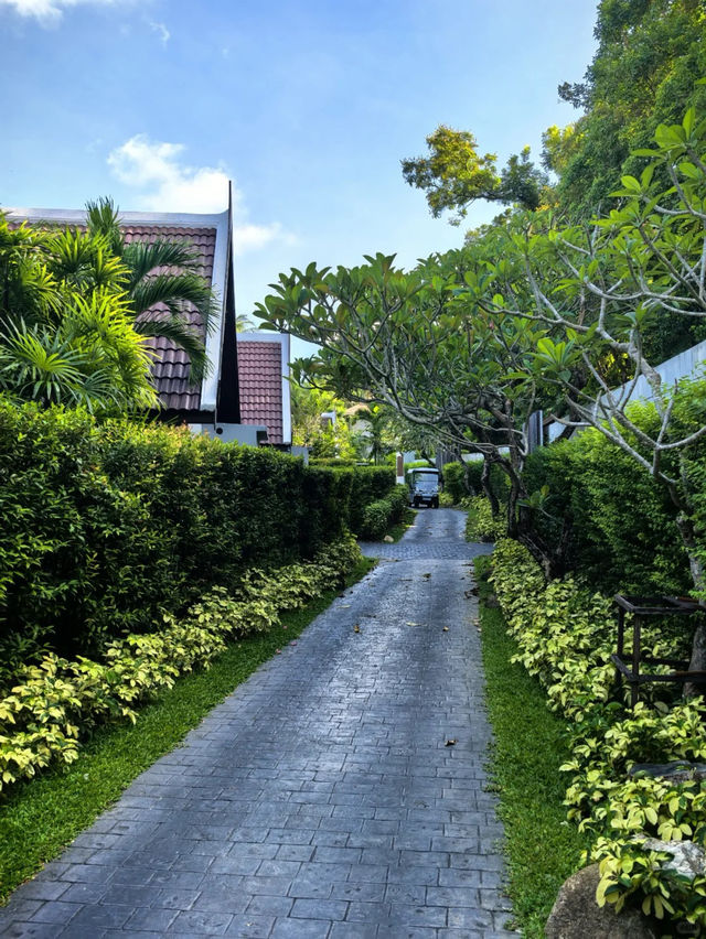 跳過普吉！蘇梅島洲際别墅先係真正嘅度假feel✨