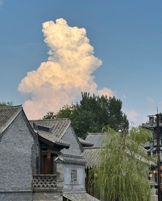 濟南最美楊柳垂岸 濟南最美楊柳垂岸