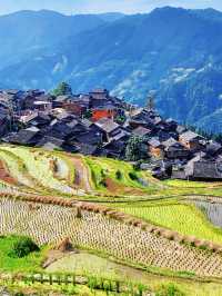 貴州秘境｜加榜梯田2025最新旅行攻略比龍脊更早金黃！