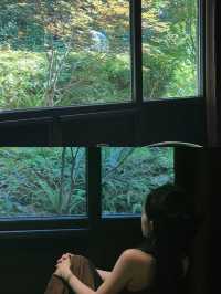 景德鎮躺平實錄|在東籬院的3天,把日子過成中式散文詩