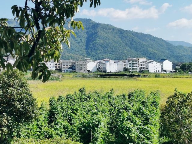 古村秋色藏詩意