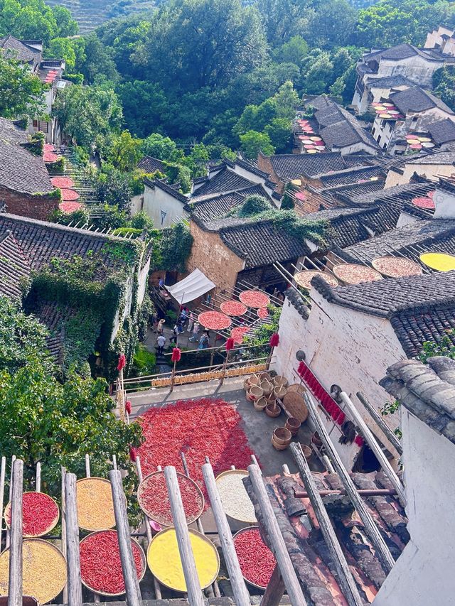 上饒篁嶺：曬秋畫卷裡的千年古村，一步一景皆是詩！ 
