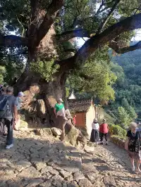 避開國慶的三天兩夜麗水旅行