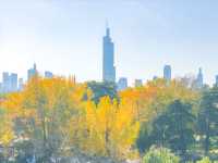 南京玄武湖公園拍照打卡，秋天來這裡感受湖邊的溫柔。