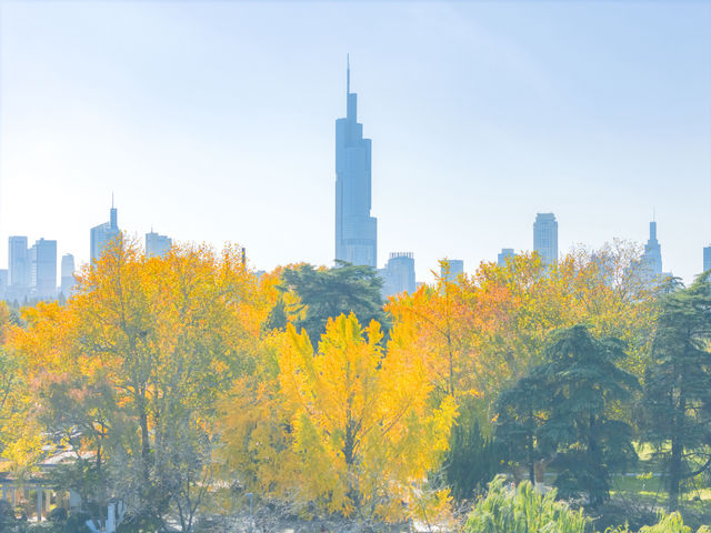 南京玄武湖公園拍照打卡，秋天來這裡感受湖邊的溫柔。