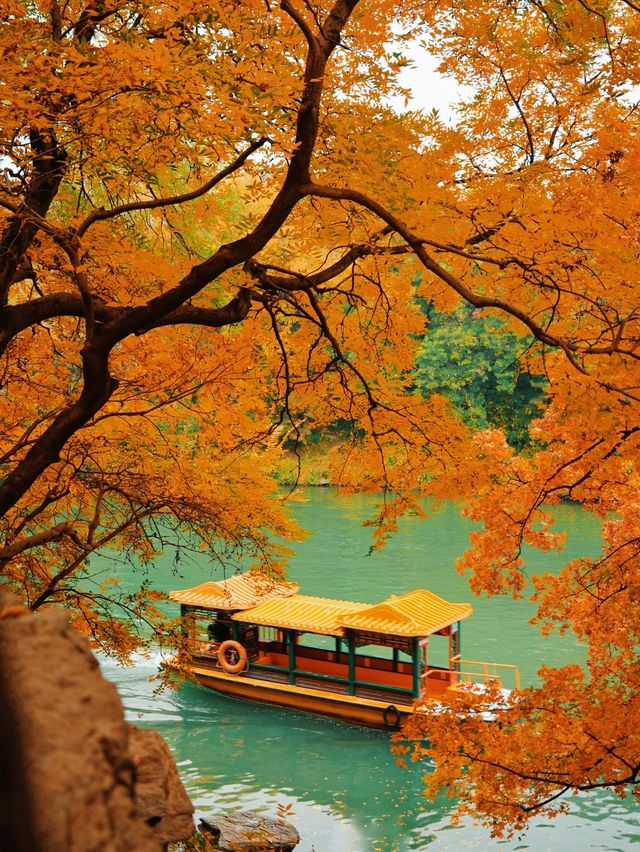 北京賞秋天花板！頤和園驚艷打卡地大公開