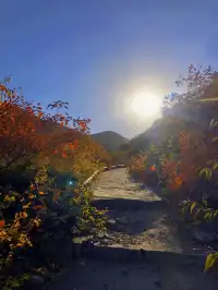 山西最美的季節就要來了，附賞秋旅遊攻略