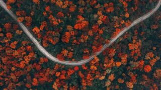 Autumn at Emei, a high-altitude rendezvous | A colorful feast above a thousand meters