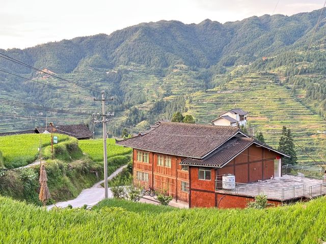 晨闖黔東南秘境!雷山白巖村的雲霧裡藏著真仙境 晨闖黔東南秘境!雷山白巖村的雲霧裡藏著真仙境