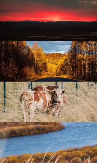 Hulunbuir Travel Guide | Qinren Edition