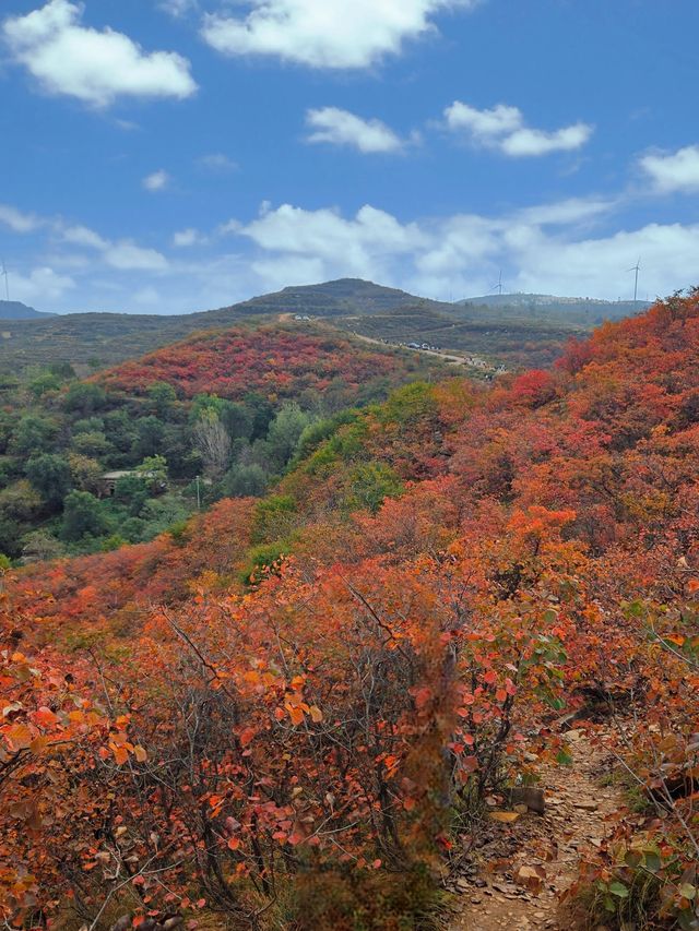 河南隱藏的秋日仙境:禹州鳩山紅葉谷 河南隱藏的秋日仙境:禹州鳩山紅葉谷