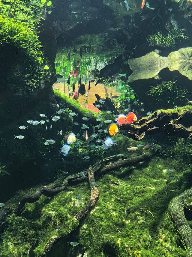 上海跟風墜成功的一次！附溫室花園打卡機位地圖