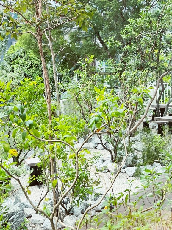 🌿 Doudoubake KL: Where Urban Jungle Meets Sweet Dreams! 🍰 🌿 Doudoubake KL: Where Urban Jungle Meets Sweet Dreams! 🍰