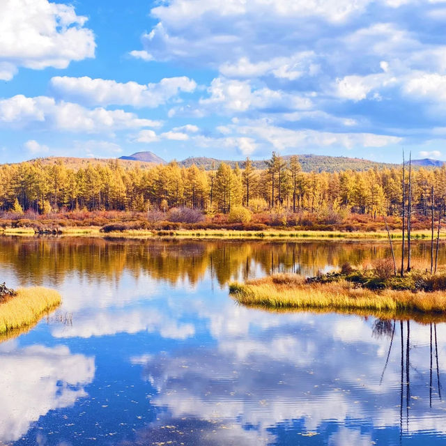 🇨🇳아얼샨, 자연의 아름다움과 불편한 현실 사이 🏔️ 🇨🇳아얼샨, 자연의 아름다움과 불편한 현실 사이 🏔️