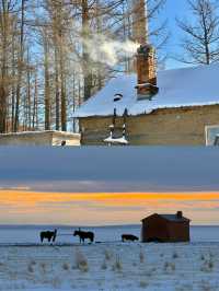 冬日呼倫貝爾雪原行