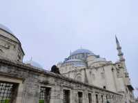 황금기의 건축미학—쉴레이마니에 모스크 탐방