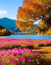 澄澈湖水、綿延綠道和原生態風光讓你感受自然與愜意的雙重治癒