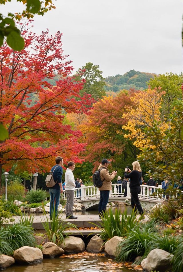00後創業人的心靈治癒之旅雲平山秋日仙境全攻略