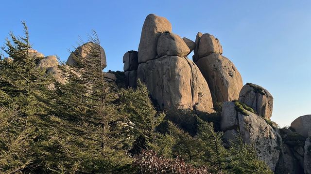 與崂山道士聊聊殼