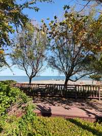 超chill的煙台躺平攻略這家海景酒店真的讓我實現了"面朝大海，春暖花開"的夢想！  這次在煙台