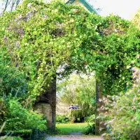 悉尼近郊絕美秘境封神了！