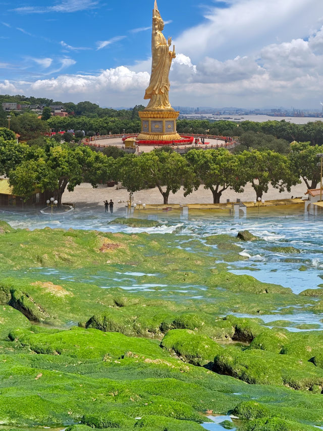 茂名已回真的不建議去因為…