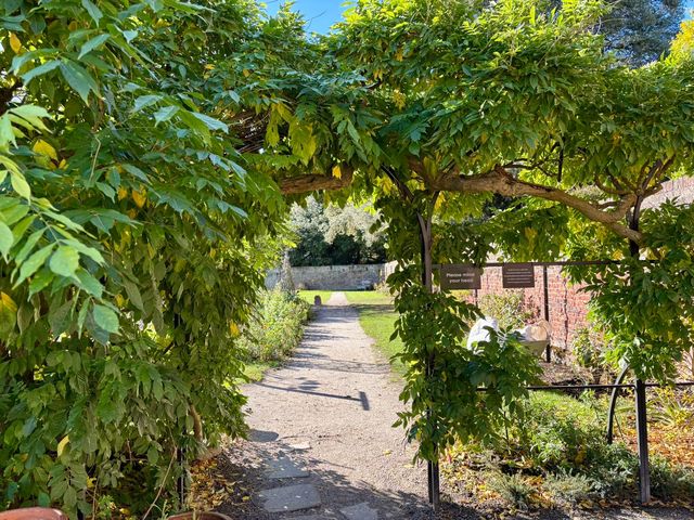 Exploring Fulham Palace