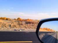 2025南疆庫車_喀什十天胡楊遊