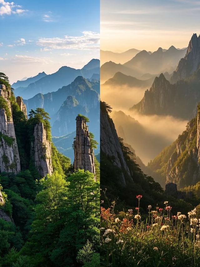 一山兩季｜河南老界嶺免票到年尾，打卡南北氣候分界線