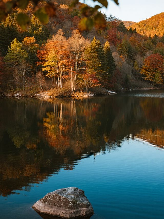 帶娃賞秋不踩雷！光霧山紅葉攻略來啦