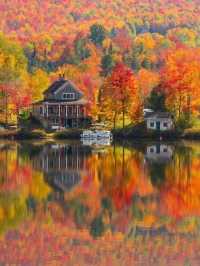 霜染鍋盔鋪錦繡 暖居枕秋入夢來