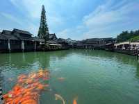 烏篷船搖過時光—烏鎮慢時光旅行手記