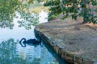 烏村的秋，藏在被忽略的細節裡