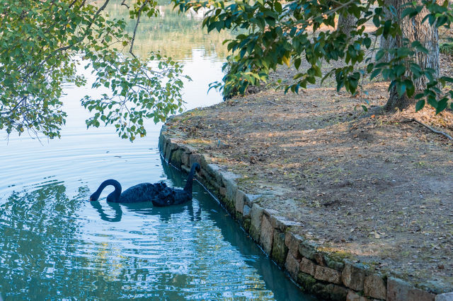 烏村的秋，藏在被忽略的細節裡