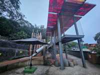 住進動物園的夜！Taronga最美棲息之旅