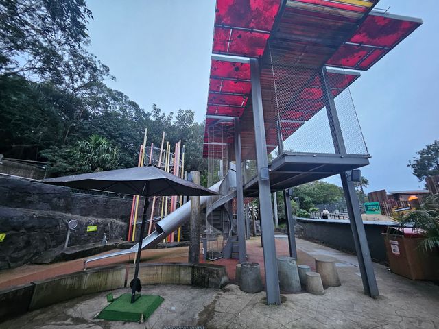 住進動物園的夜！Taronga最美棲息之旅