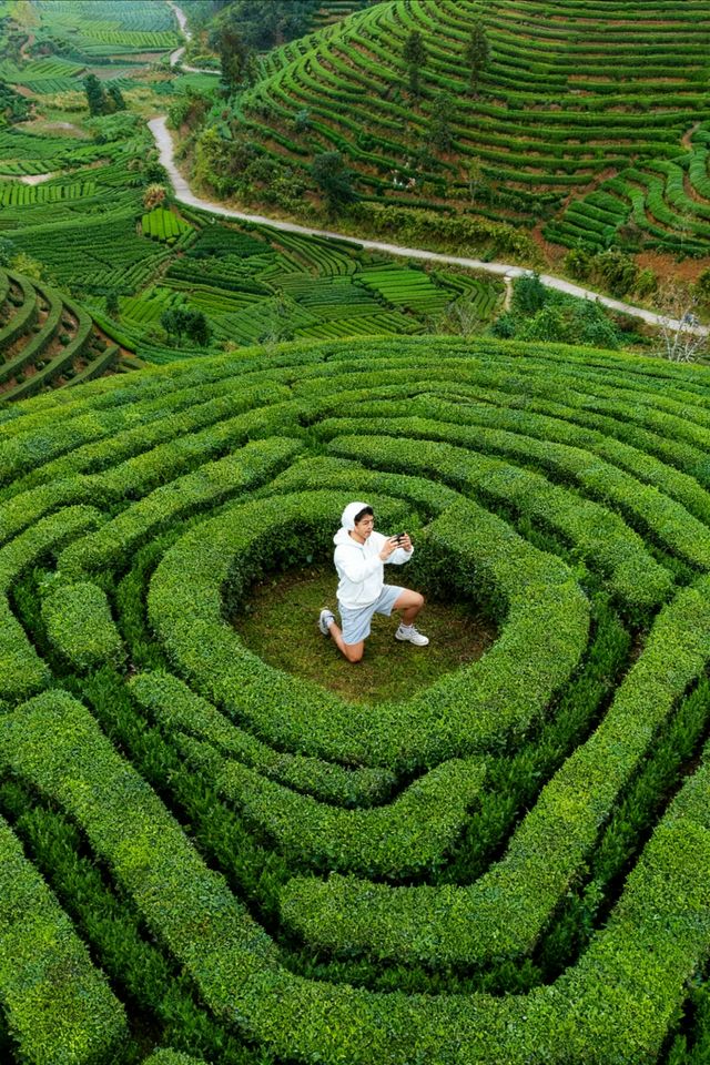 遂昌自駕2日遊｜藏在江南的小眾親子寶地，詩意又好逛   誰說小眾旅行地不好玩？自駕去遂昌真的被驚喜到