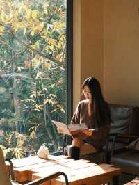 在諾克諾克私湯裡擁攬整片竹海