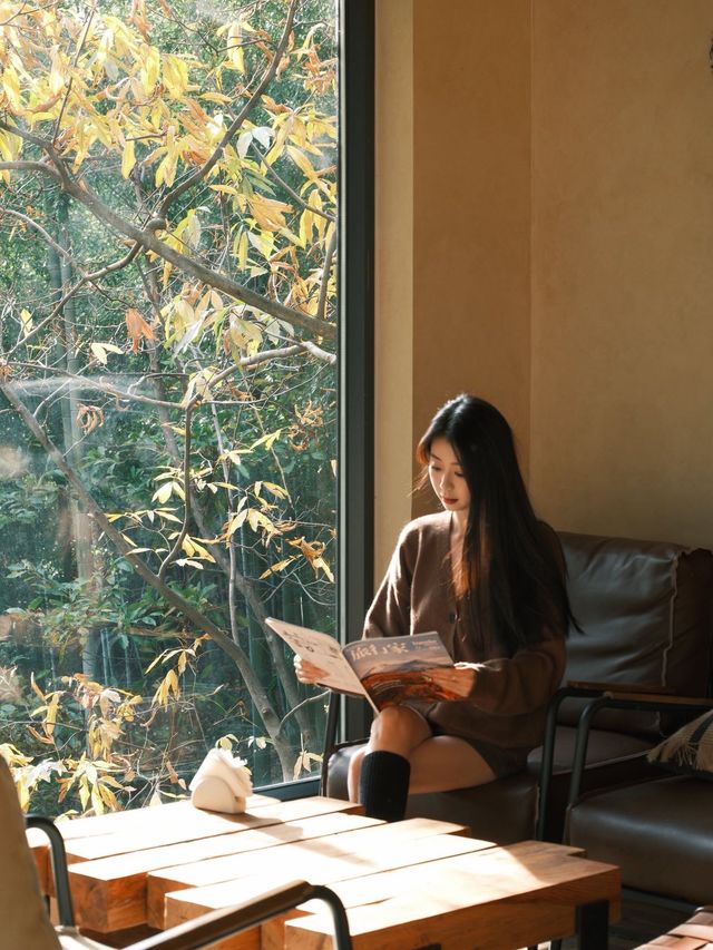 在諾克諾克私湯裡擁攬整片竹海