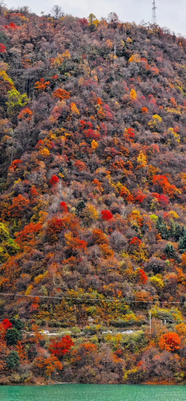 藏寨秋遊好去處 藏寨秋遊好去處