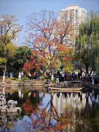 這個秋天一定要嚟莫愁湖！