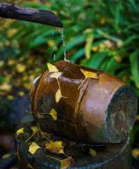 稷山八泉峽旅遊團