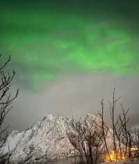 被極光親吻過的北國淨土，雪峰與森林交織成花卷。—挪威