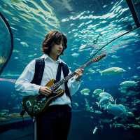 煙墩山塔一日遊攻略