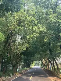 來自宜興紫砂壺商的旅遊景點推薦