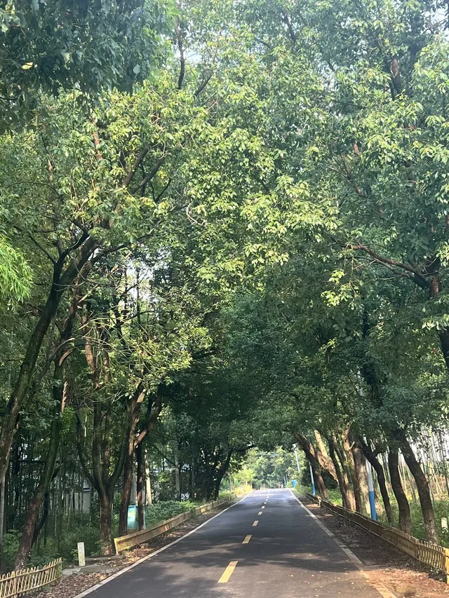 來自宜興紫砂壺商的旅遊景點推薦