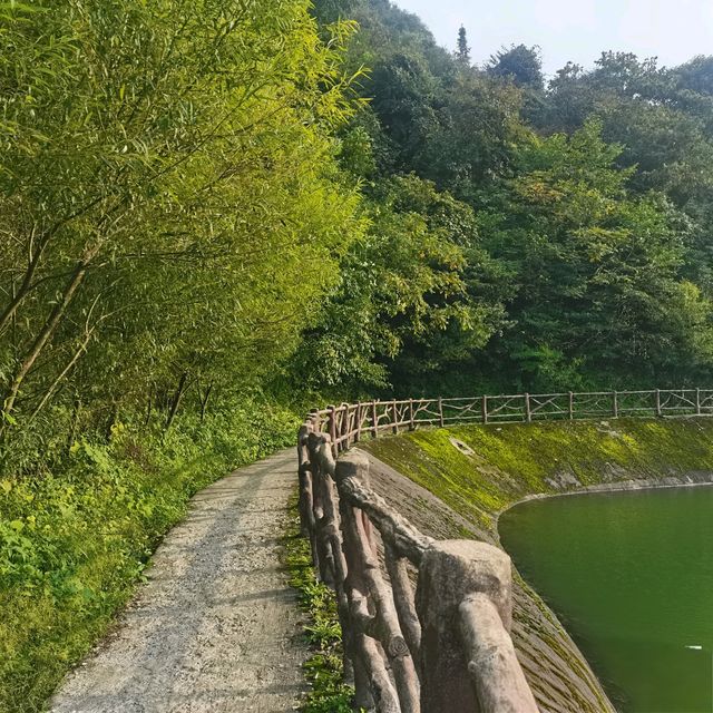 20℃冰鎮夏天!重慶1.5h直達的秘境瀑布,亞洲最大洞中奇觀 20℃冰鎮夏天!重慶1.5h直達的秘境瀑布,亞洲最大洞中奇觀