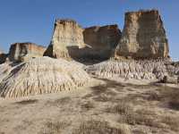 datong clay forest!