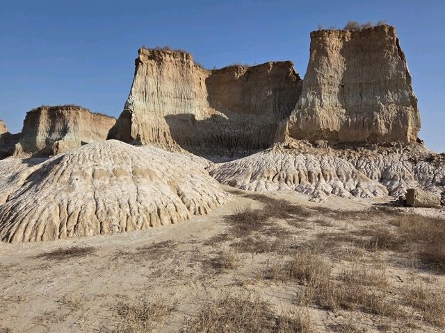 datong clay forest! datong clay forest!