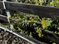 神仙谷隱藏玩法大公開！極限蹦極+深山尋寶